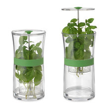 Guest Picks: Fresh Green Ideas for the Home
