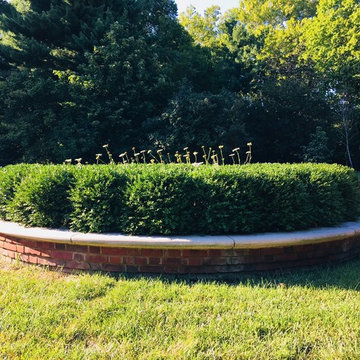 Boxwood Pruning and Thinning