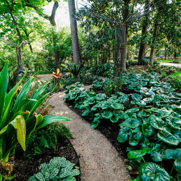 Rienzi Mansion - MFAH - Landscape Design & Installation