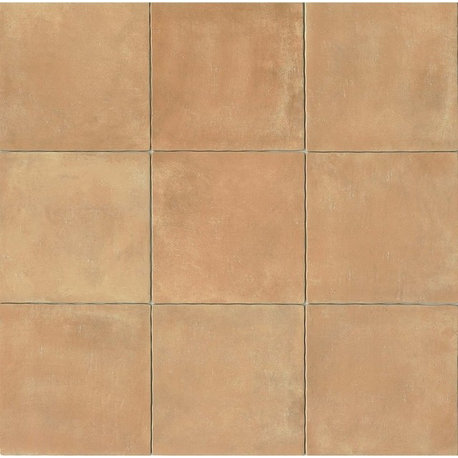 Cotto Nature 14"x14" Gloss Porcelain Field Tile, Cerdena