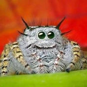 Anne Ballard's photo