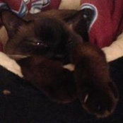Kathy Stansfield's photo