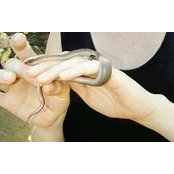 Joy Millar's photo