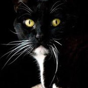 Nancy Wolff's photo