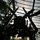 don_ng