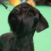 Jamie Bond's photo