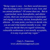 Sandy Angelidis's photo