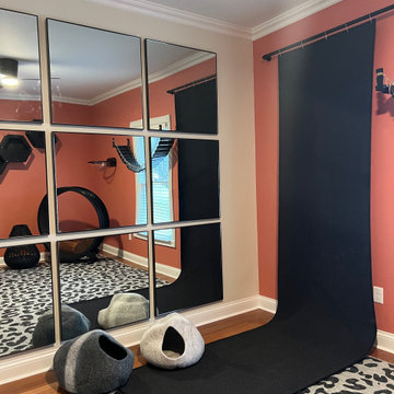 The Most Spectacular Cat Room Featuring a Full Spanning Climbing Wall
