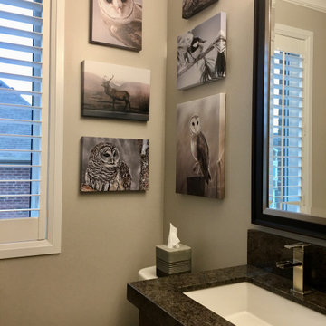 Updated Guest Bathroom Counter Top - Labrador Antique Granite Counter Top
