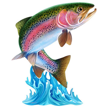 Jumping Trout Wall Art
