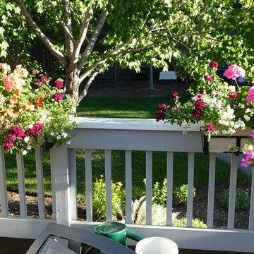 Star Ridge Ct