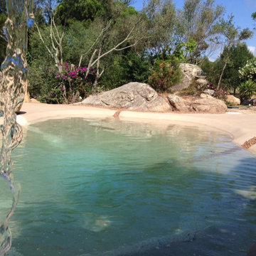 Beach Sculpted Biodesign Swimming Pools Long Island NY