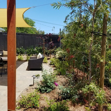Bay Park refresh
