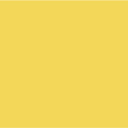 Dulux Dandelion Yellow - Paint