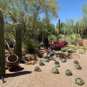 Desert Landscapes