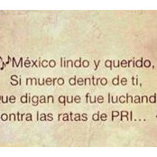 Manuel Irak Solis's photo