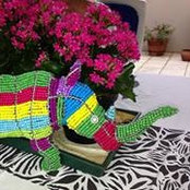 Mande Toubkin's photo