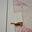 em.el Decorative Architrave
