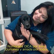 Iris Quinones's photo