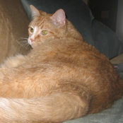 Michelle Lafferior-Halverson's photo