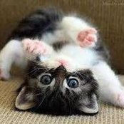 Dena Brown's photo