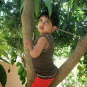 Harish Chittineni's photo