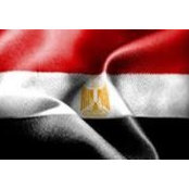 Iman Gammal's photo