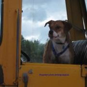 Charles House's photo