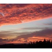 David Mankoff's photo