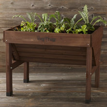 Traditional Outdoor Pots And Planters by Williams-Sonoma