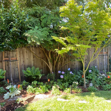 Landscape Designs