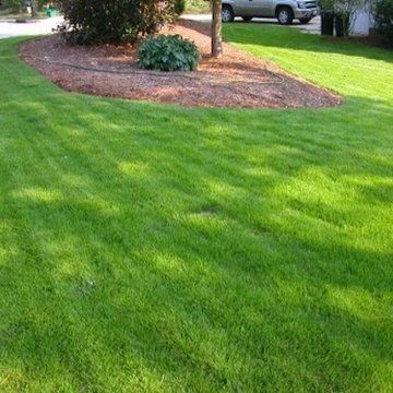 Lawns