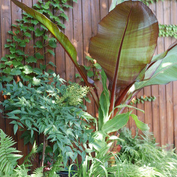 Le jardin des Explorateurs