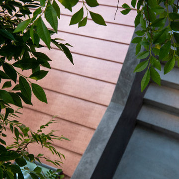 Bellevue Hill, Sydney