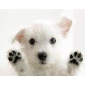 Catherine Cuthbert's photo