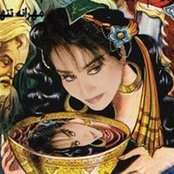 Homeyra Amir-Afshariさんの写真