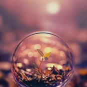 Дмѐѓд Ќн's photo