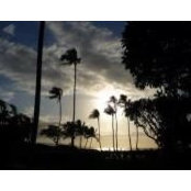 Lee Smith's photo