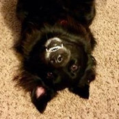 Carole Axton's photo