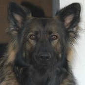 Sarabelle Rasmussen's photo