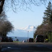 Louis Mancini's photo