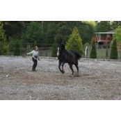 Sue Achard's photo