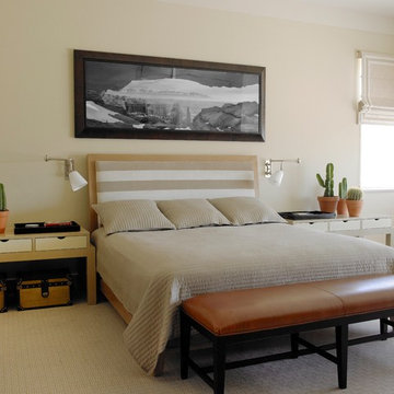 Contemporary Bedroom