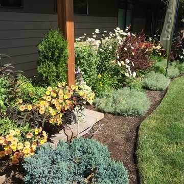 Garden Bed and Container Design