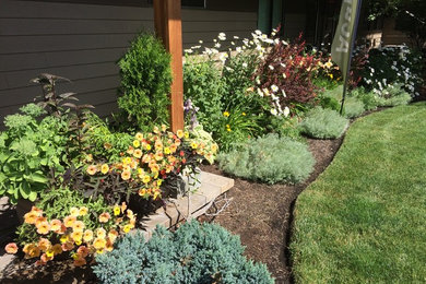 This is an example of a small eclectic landscaping in Other.