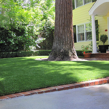 Synthetic Lawns