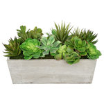 House of Silk Flowers, Inc. - Artificial Succulent Garden, Light Gray Wood Rectangle Planter - You will never have to worry about caring for your succulents again with this artificial succulent garden handcrafted by House of Silk Flowers. This arrangement features an assortment of succulents "potted" in a rustic washed wood planter (16" x 6" x 5 1/2" tall). The succulents have been arranged for 360*-viewing. The overall dimensions are measured leaf tip to leaf tip, from the bottom of the planter to the tallest leaf tip: 18" wide X 9" deep X 11" tall. Measurements are approximate, and will be determined by your final shaping of the plant upon unpacking it. No arranging is necessary, only minor shaping, with the way in which we package and ship our products. This product is only recommended for indoor use.