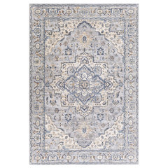 Surya Amore 8 x 10 Light Blue Indoor Medallion Oriental Area Rug at