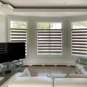 Springblinds Premium Zebra Dual Sheer Shades