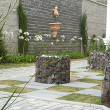 Ideas de Pedro